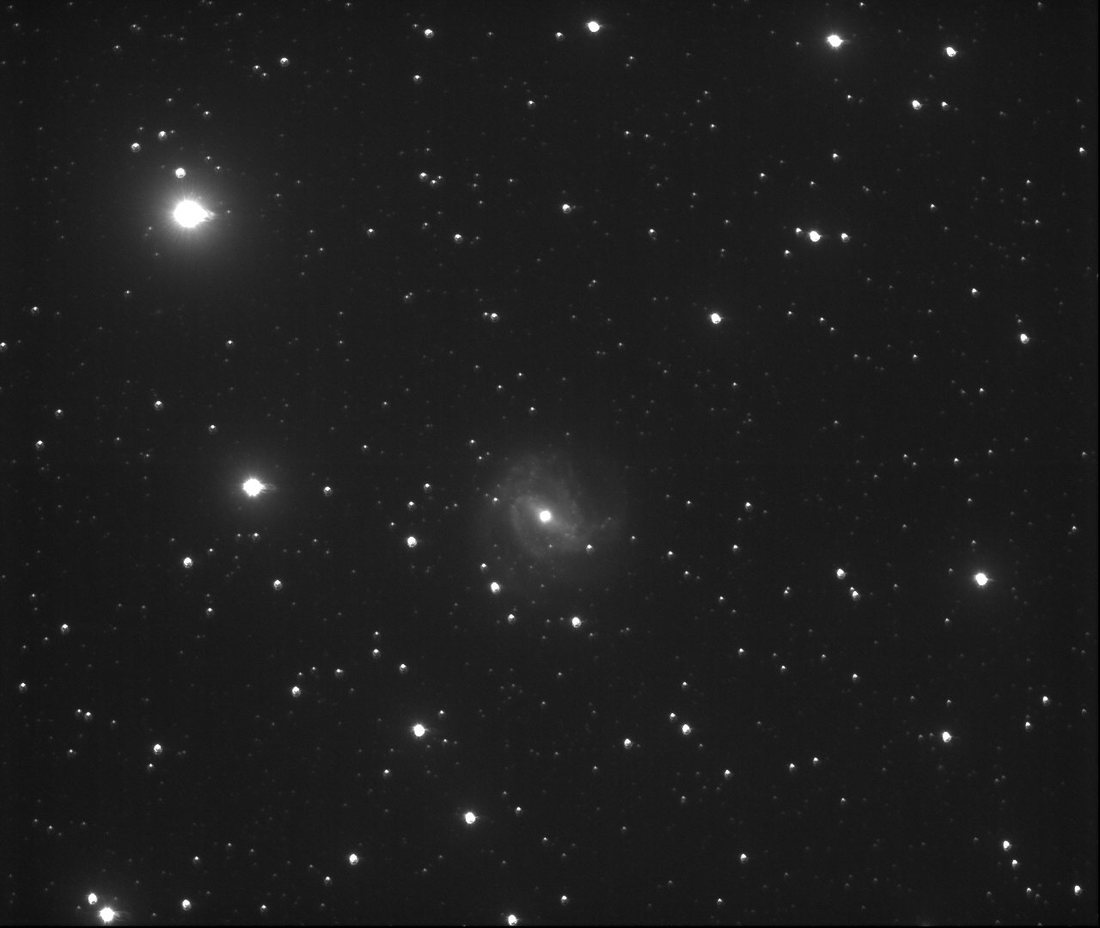 ROTSE-IIIc image of the spiral galaxy M83