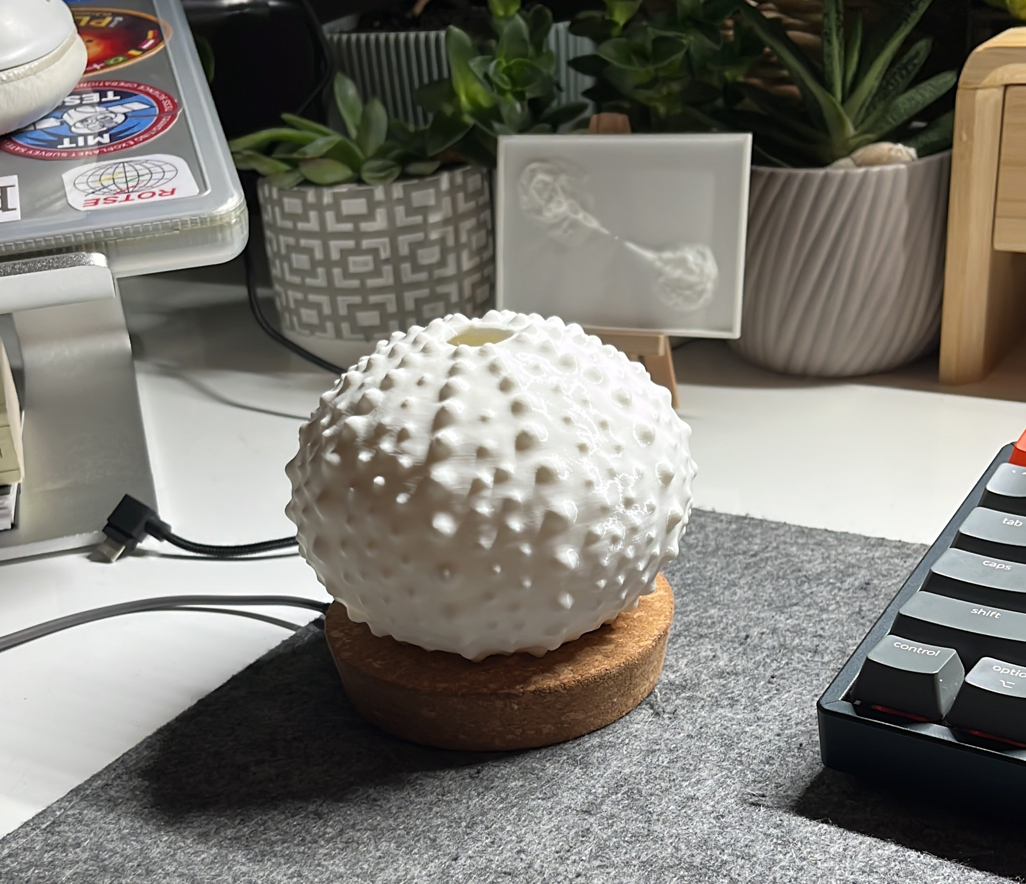Assembled Bioluminescent Sea Urchin Lamp